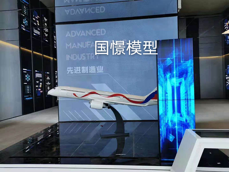 郸城县飞机模型